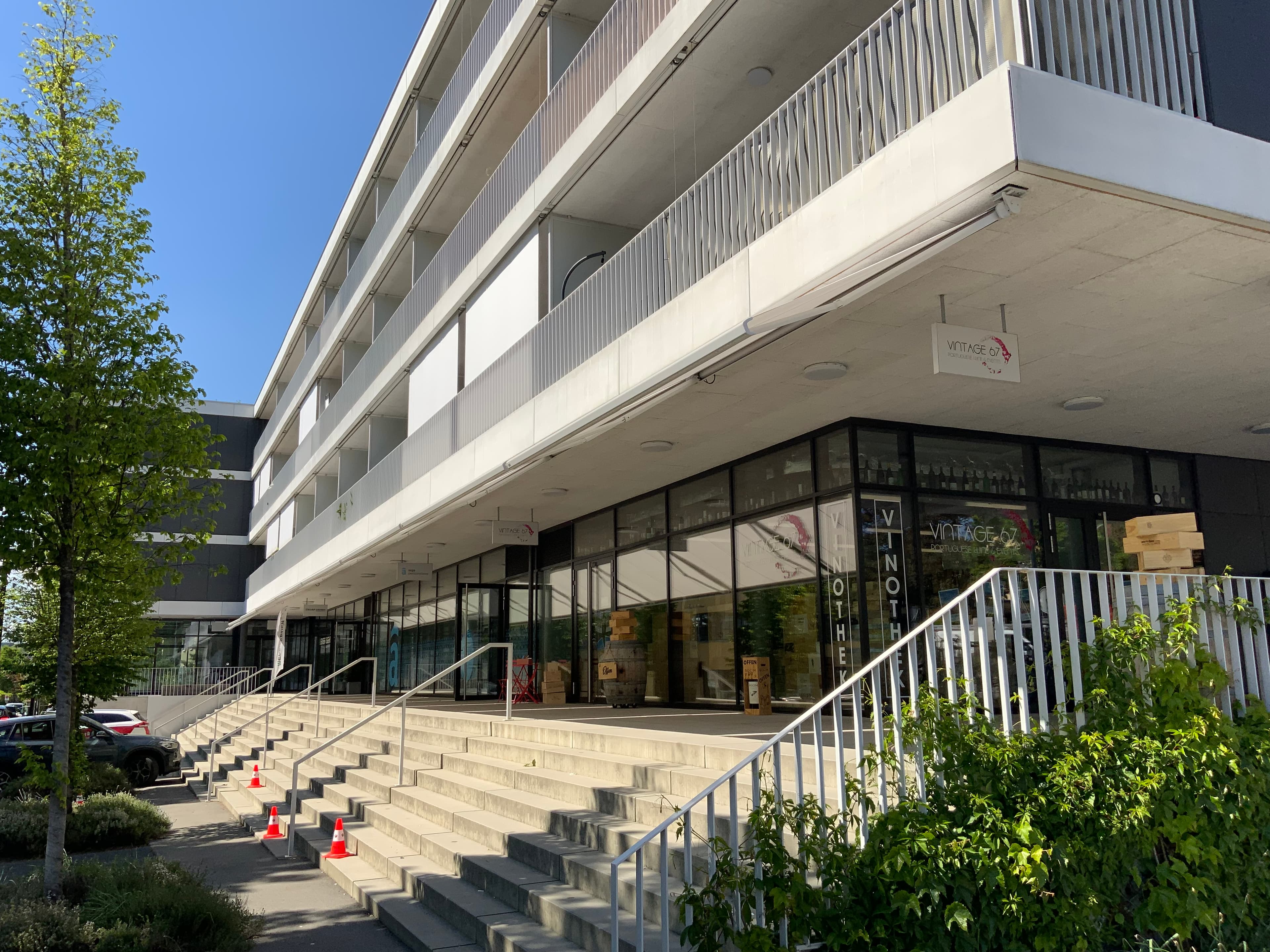 Molina von Strasse.jpeg